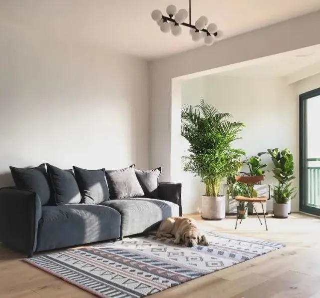 陽臺要不要裝推拉門？客廳和陽臺裝門與不裝門的優缺點